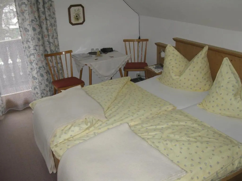 Standard Double room with mountain view (twin beds)