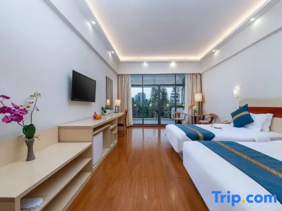Deluxe Double room (twin beds)