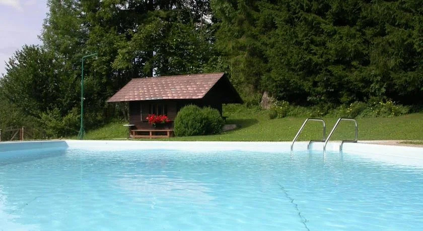 Alpenhotel Jagdhof Breitenthal - Général