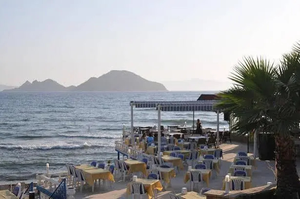 Beach & Waterfront