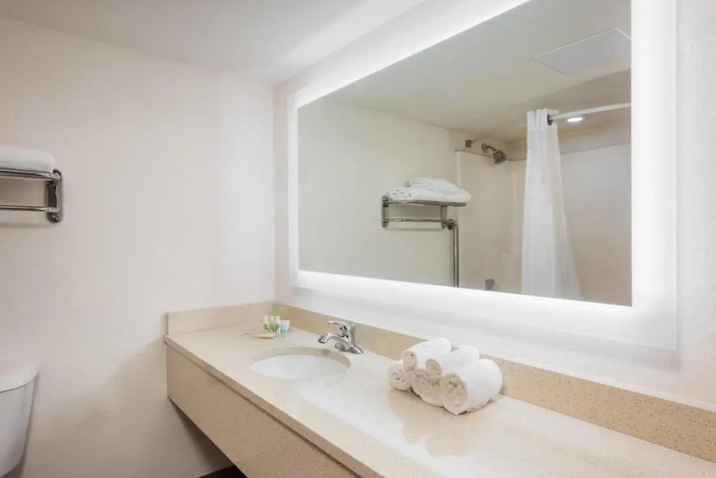 Holiday Inn St. Louis West Six Flags by IHG - Chambres