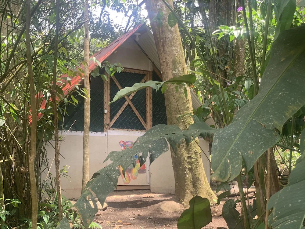 Costa Rica Glamping - фото 2