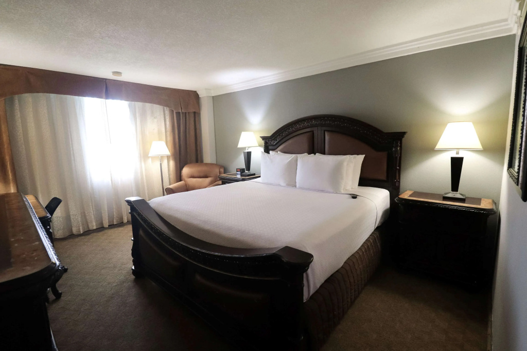 Wyndham Houston near NRG Park/Medical Center - Général