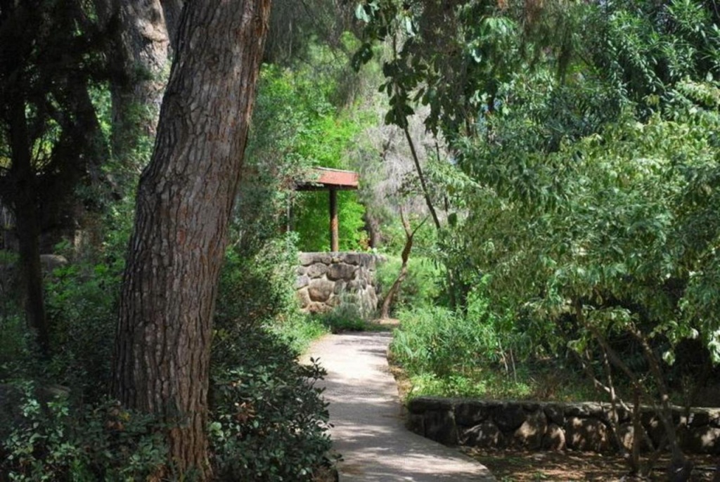 Vered Hagalil Holiday Village - Général