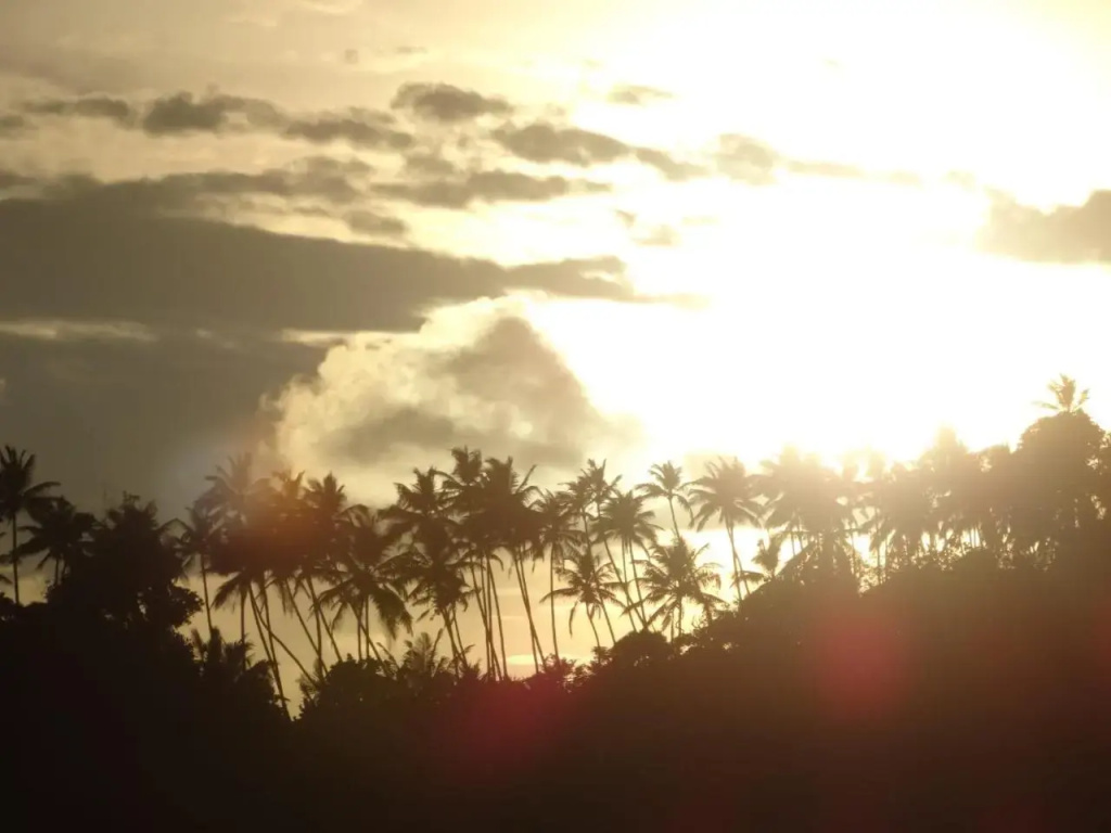 Mirissa Beach House