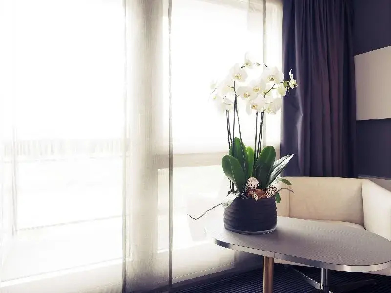 Mercure Plaza Biel - Chambres
