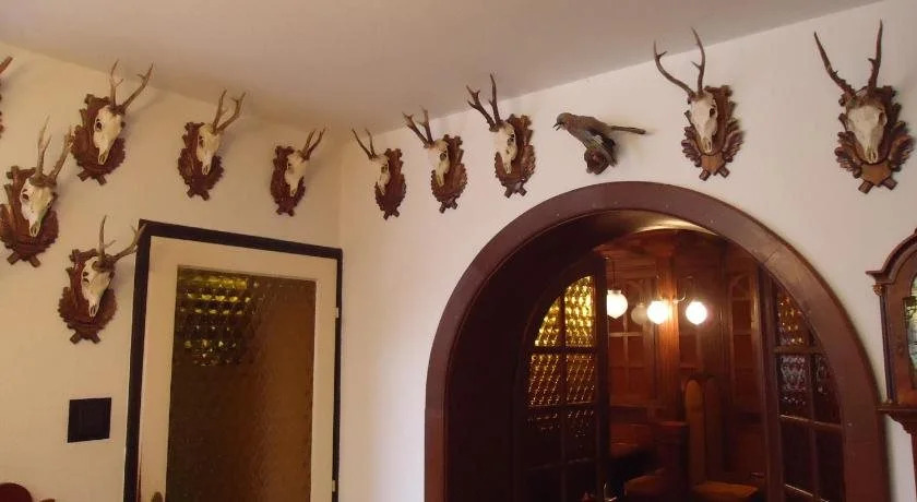 Cola Panzió - фото 12