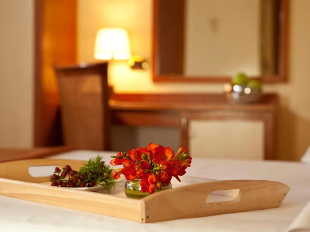 Standard Double room with sea view (full double bed)