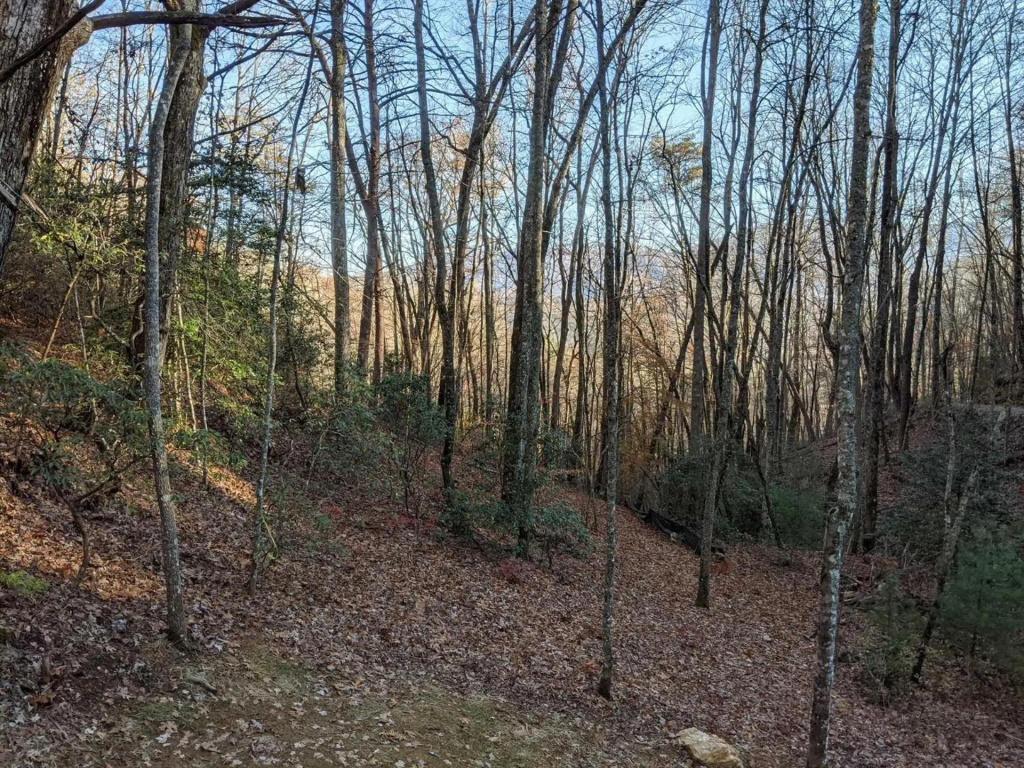 Deep Creek Hideaway 2 Bedroom Cabin by RedAwning