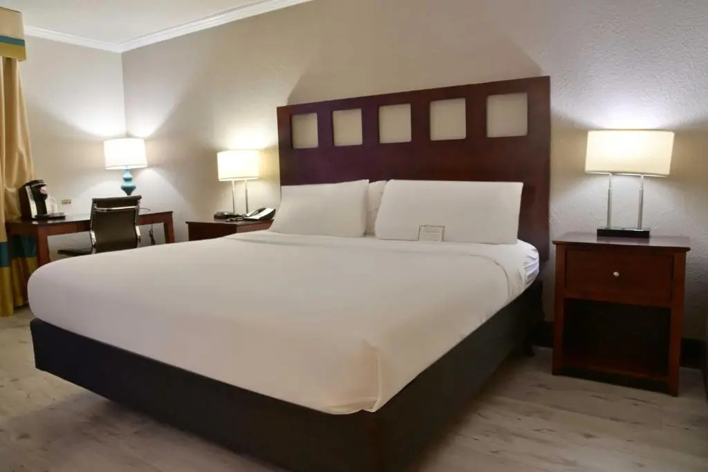 Wyndham Garden Summerville - Chambres
