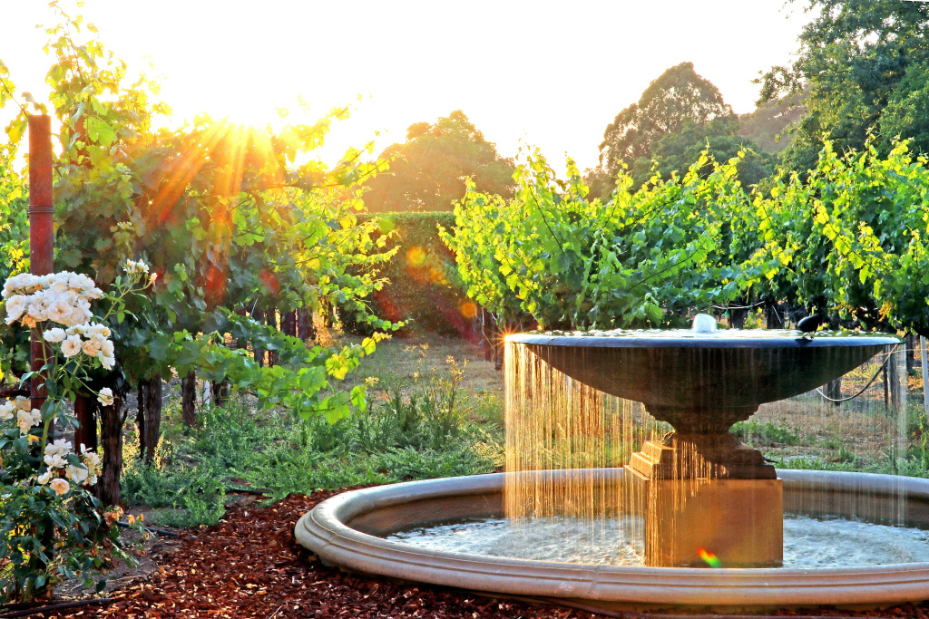 Napa Valley Lodge - Général
