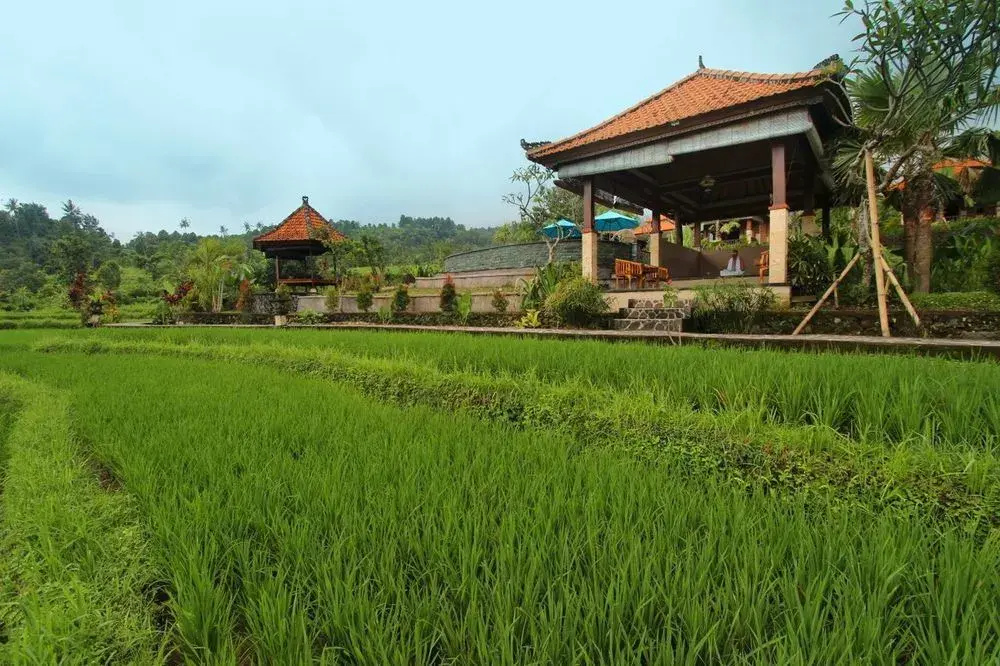 The Khana Sambangan - Général