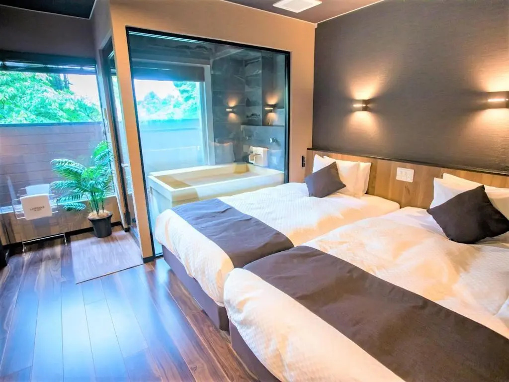 Superior Double room (twin beds)