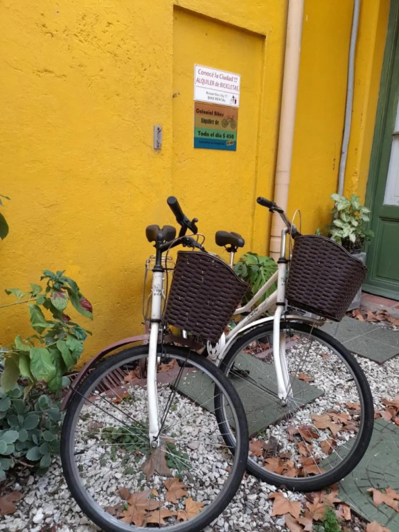 Toca Madera Hostel — 2