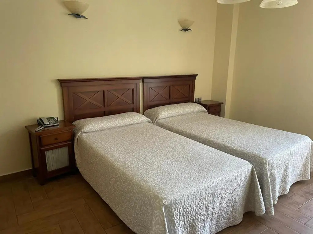Standard Double room (twin beds)