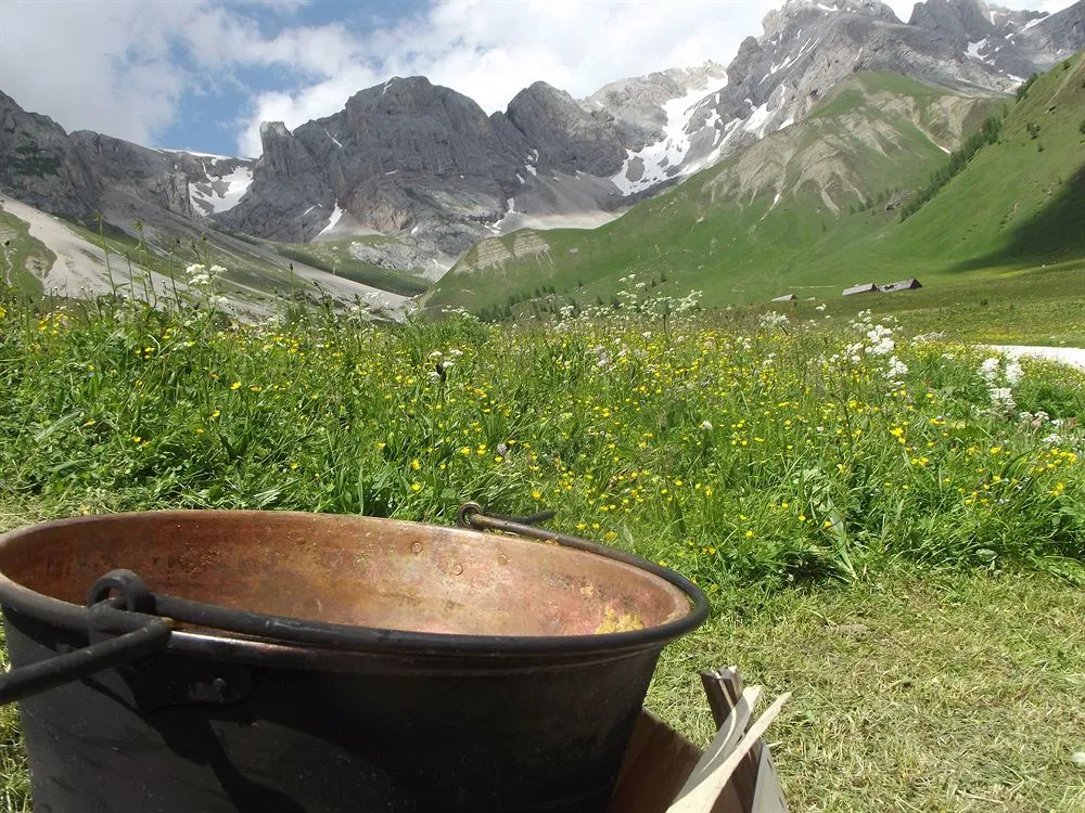 Wellness Hotel Dolomia - Général