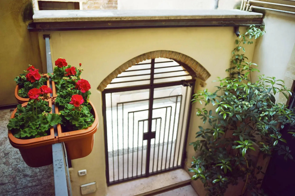 Romeo's Guest House