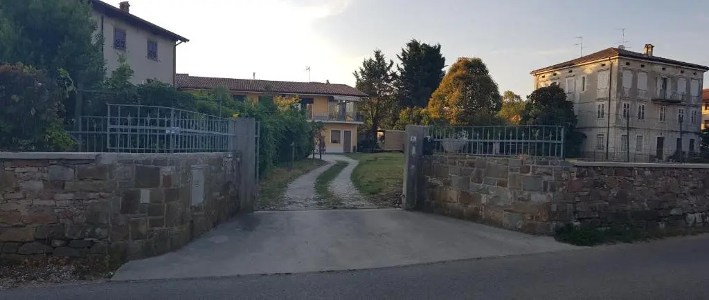 Sunny's House