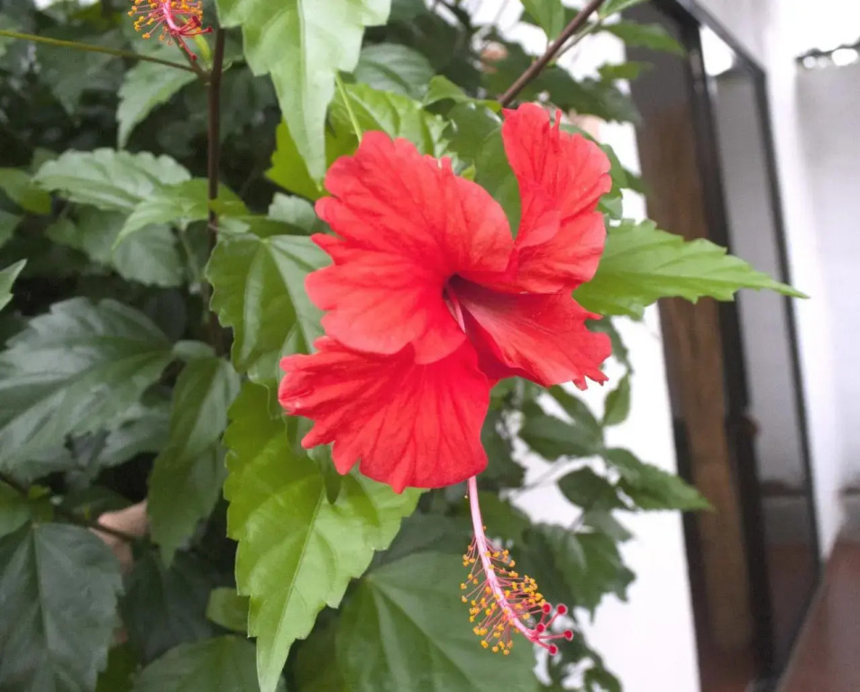 Sol Pacifico Lodge - фото 11