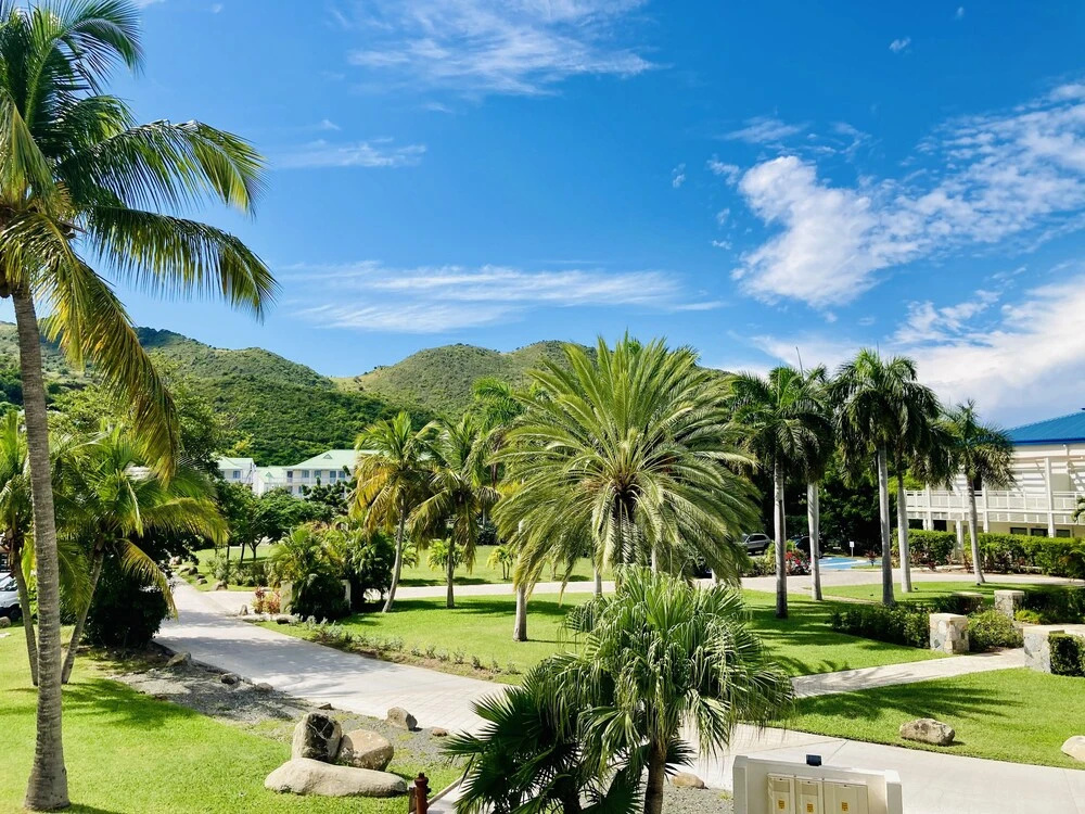 ONE Bedroom Loft Marina Anse Marcel - Saint Martin