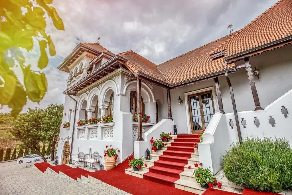 Casa Timis