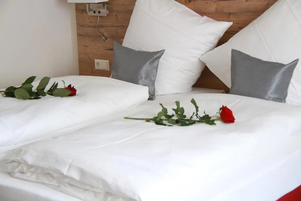 Superior Double room (full double bed)