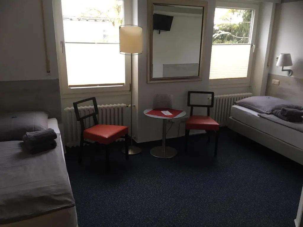 Standard Double room (twin beds)