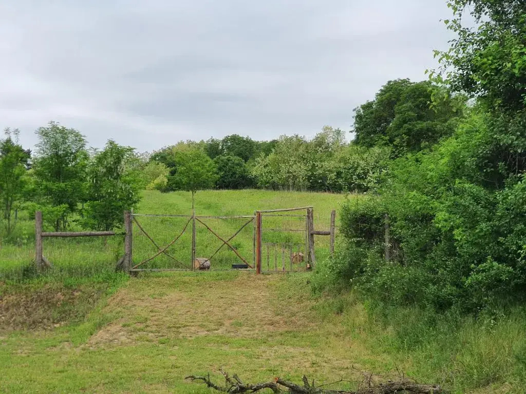 Koppany Pines Rewild Escapes - Hungarian Village Panzio - фото 3