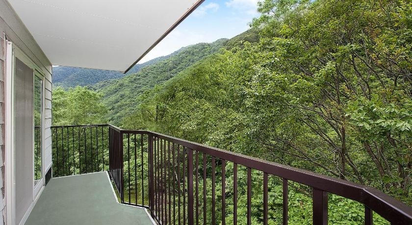Balcony & Terrace