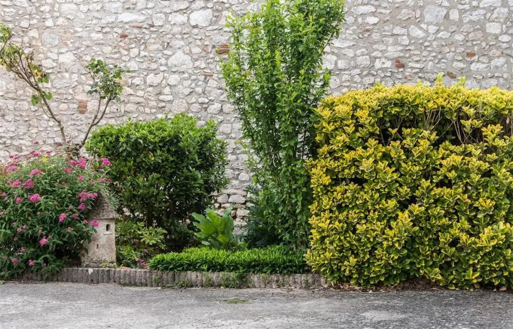 Voir la photo 3 — Auberge Le Cygne de La Croix Blanche