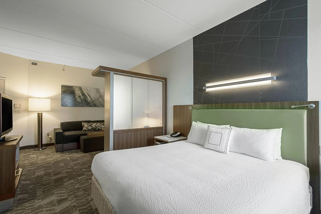 SpringHill Suites by Marriott Tampa North/I 75 Tampa Palms - Général