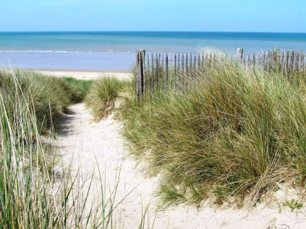 Beach & Waterfront
