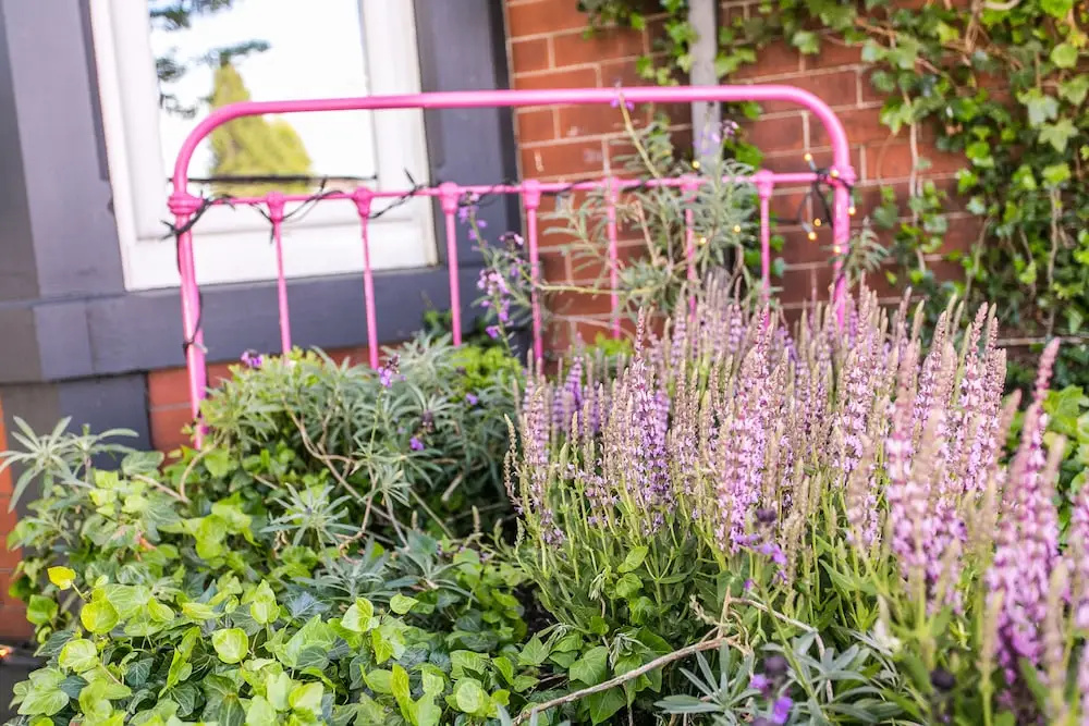 The Rosebery Boutique Hotel - Général