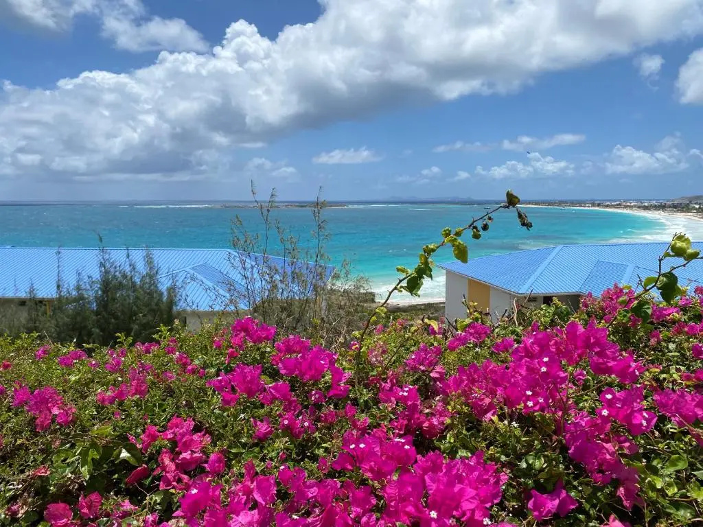 Ocean Sxm Studio