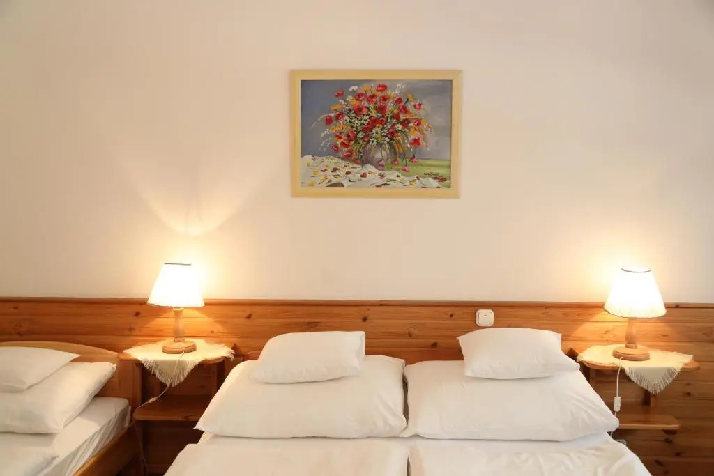 Hajdú Kastély Hotel - Chambres