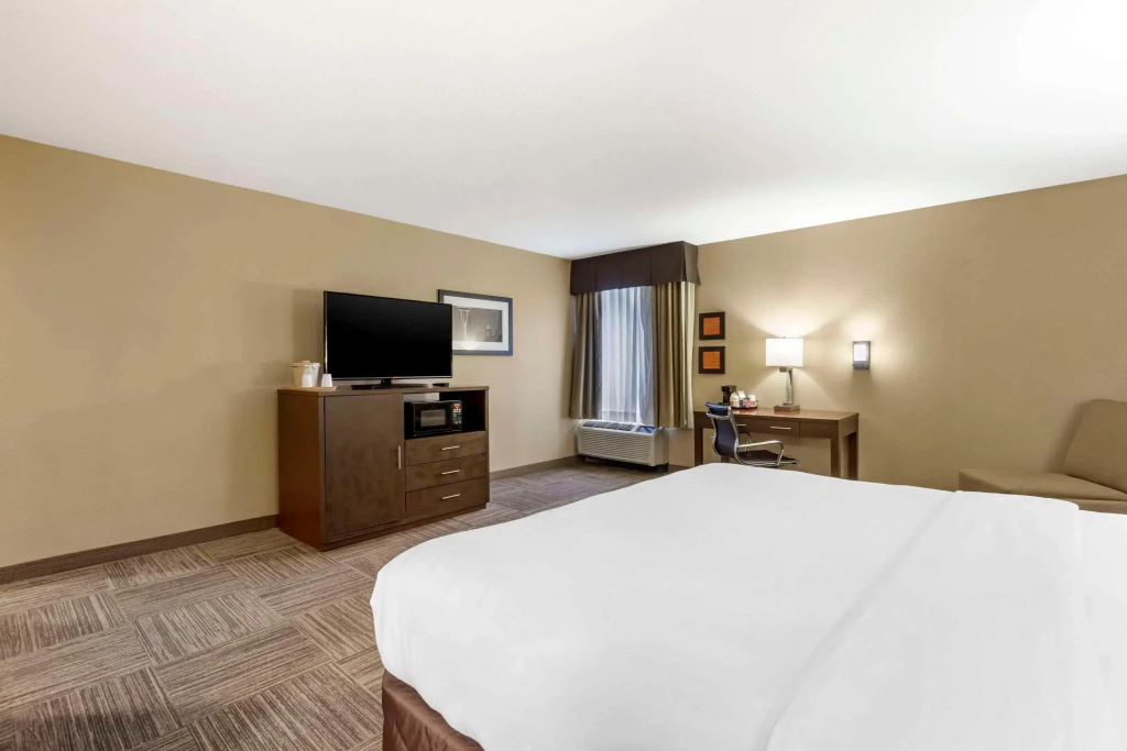 Comfort Inn & Suites Sea-Tac Airport - Général