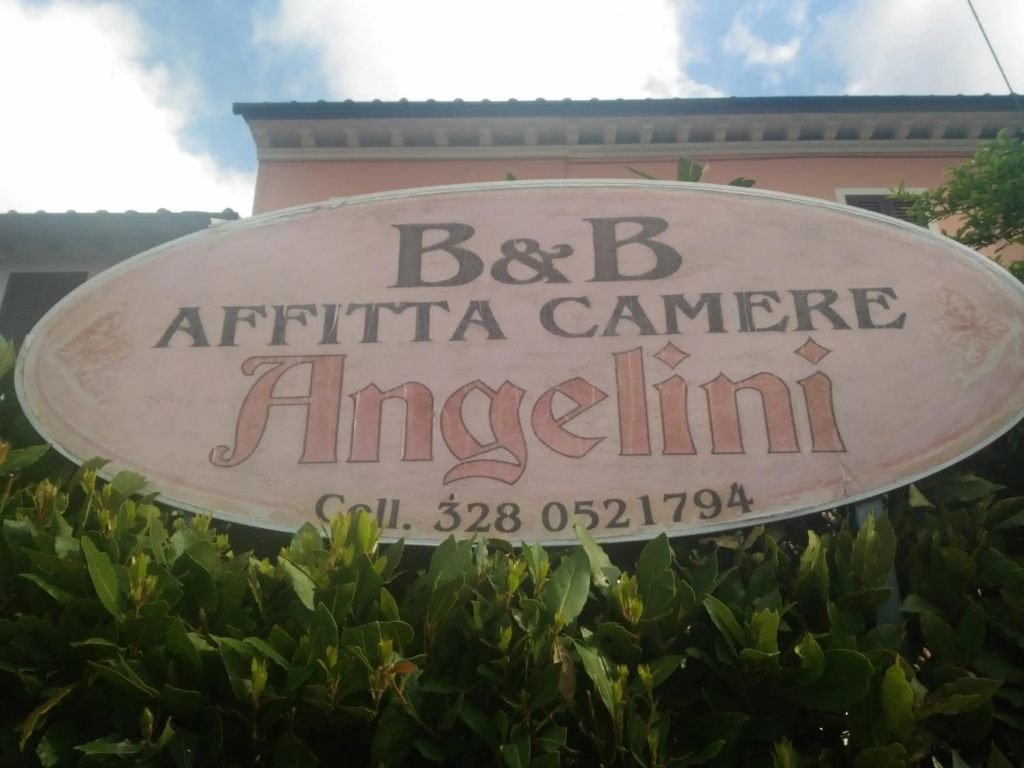 Angelini
