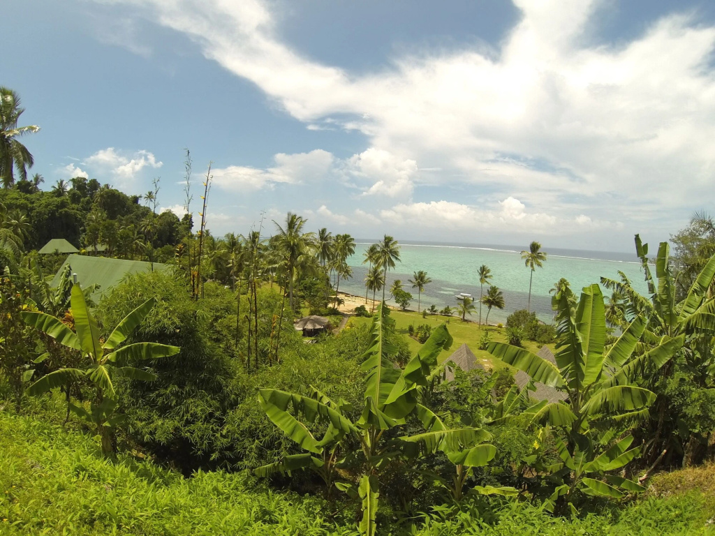 Beach & Waterfront