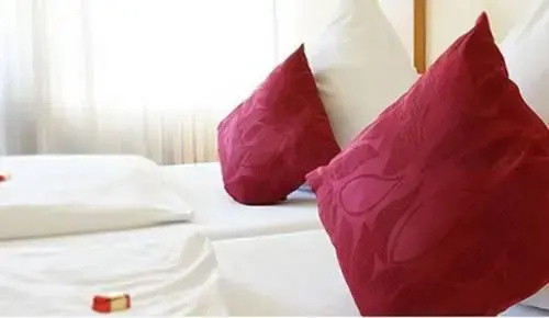 Stadthotel Bad Fallingbostel - Général