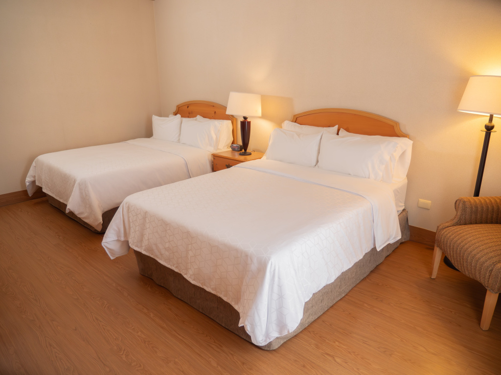 Holiday Inn Express Silao Aeropuerto Bajio by IHG - Général