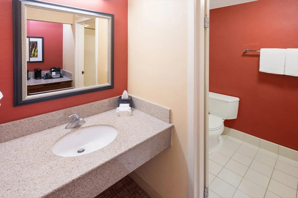 Sonesta Select Detroit Auburn Hills - Général