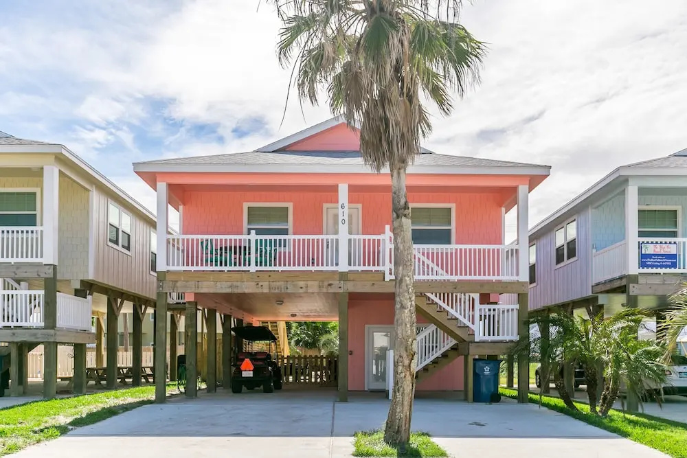 The Pink Palm 610 by RedAwning