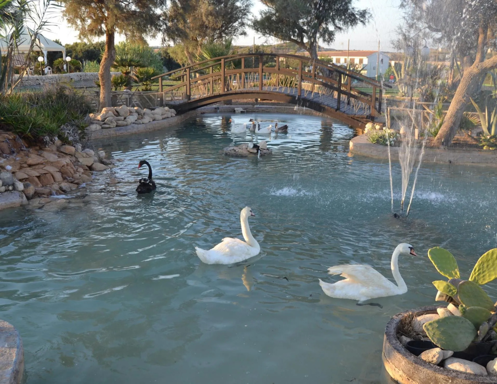 Hotel photo 31