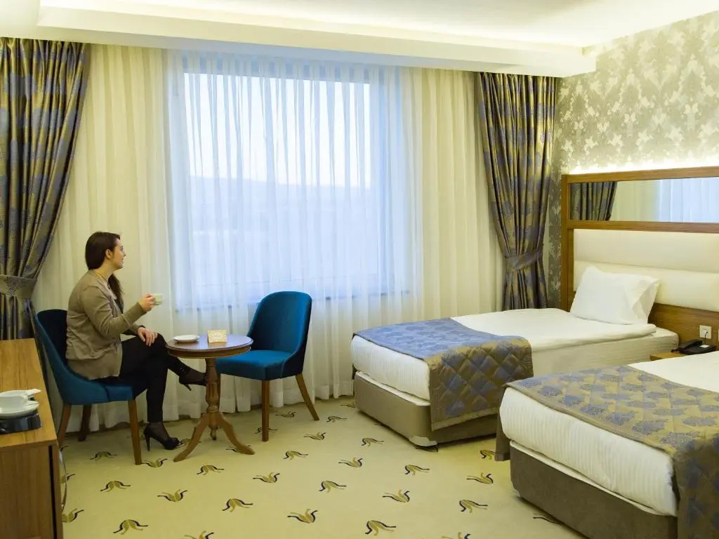 Standard Double room (twin beds)
