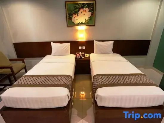 Superior Double room (twin beds)