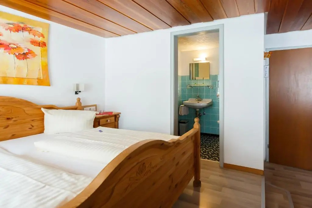 Standard Double room (full double bed)
