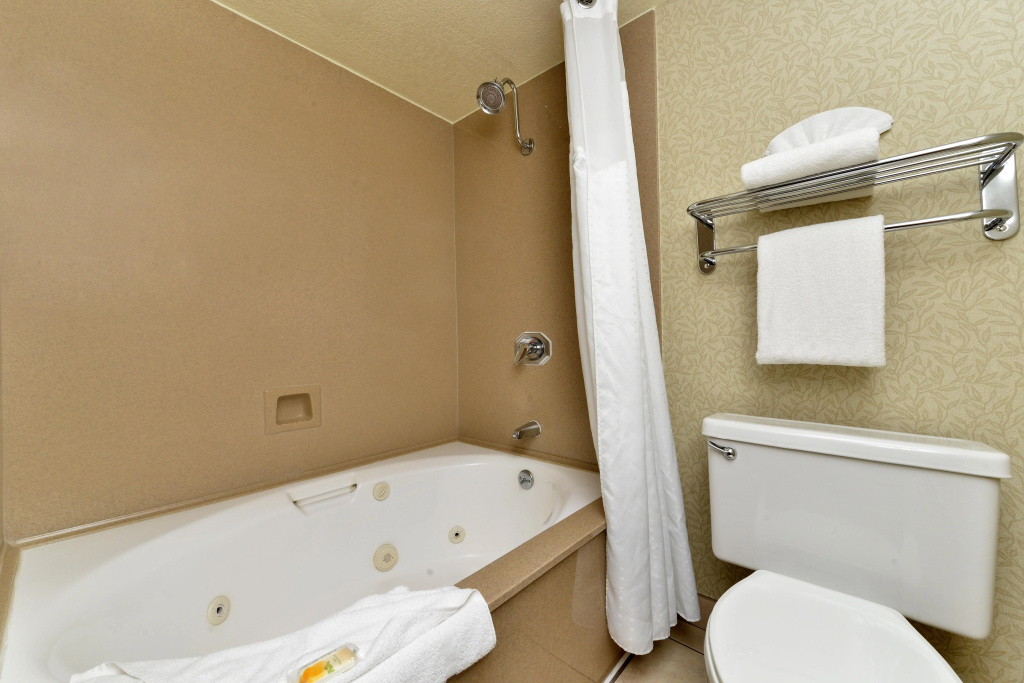 Holiday Inn Rancho Cordova by IHG - Général