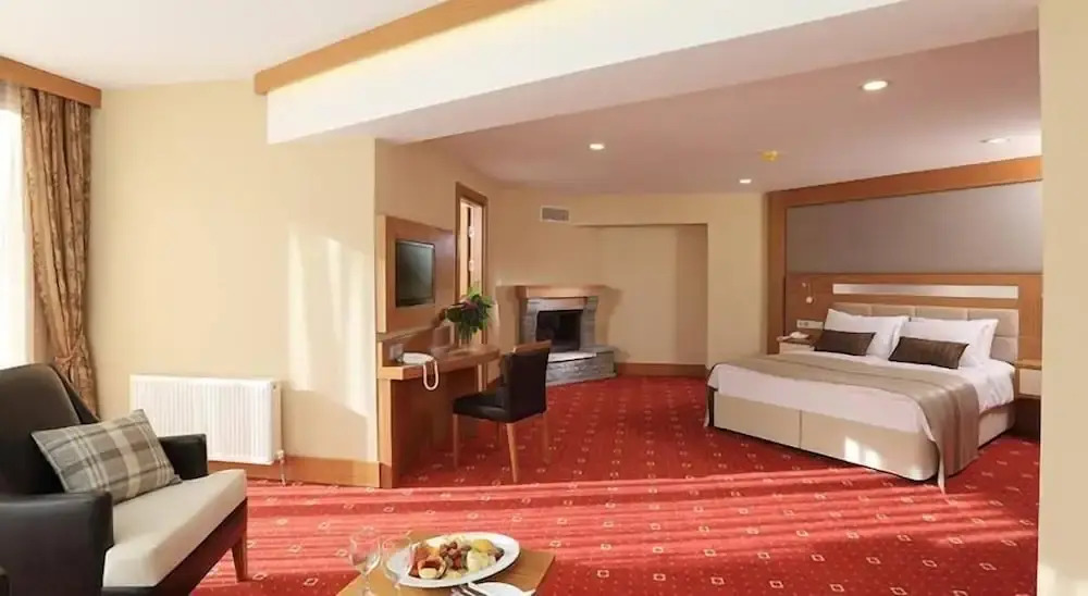 Одноместный номер Standard с видом на горы в Kaçkar Resort Hotel