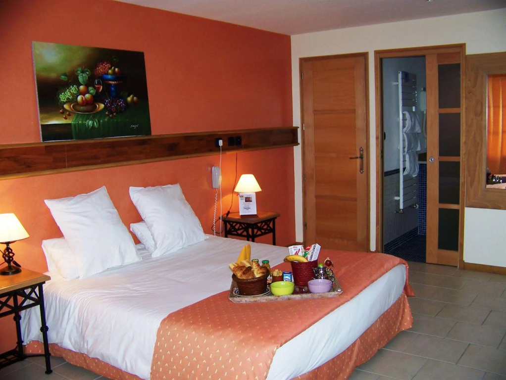 Hôtel et Spa Le Lion d'Or - Général
