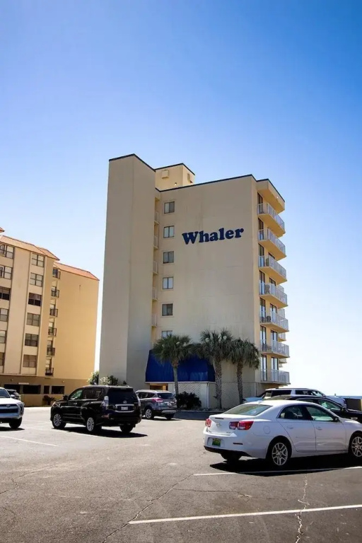 The Whaler B6
